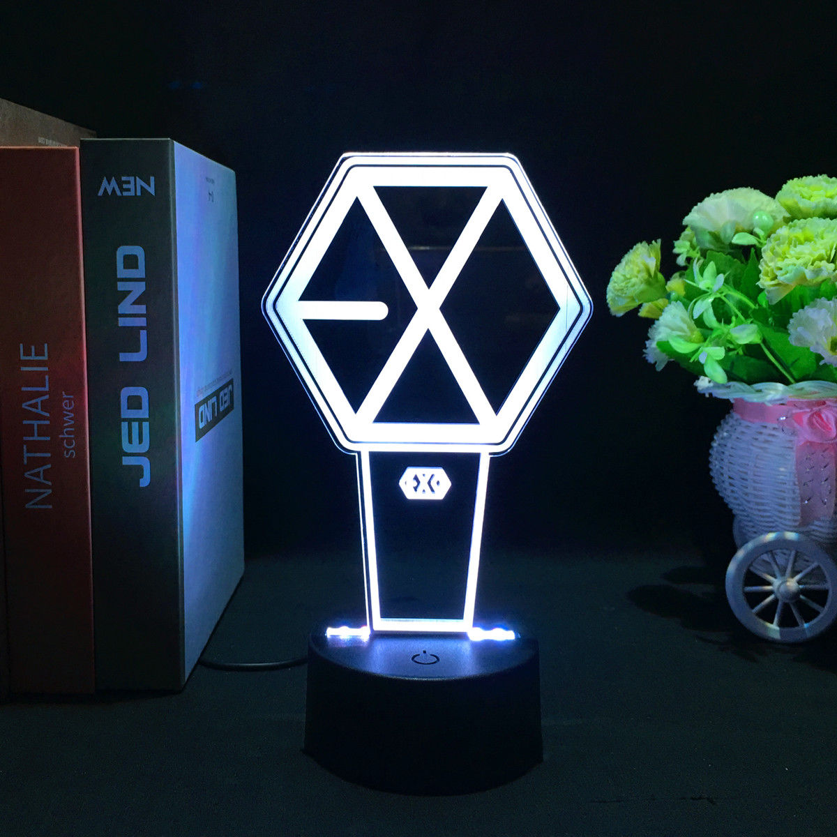 EXO LED COLOR CHANGING LIGHT (16 COLORS) WITH REMOTE CONTROL